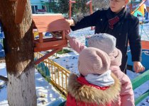 Акция "Подкормим птиц"